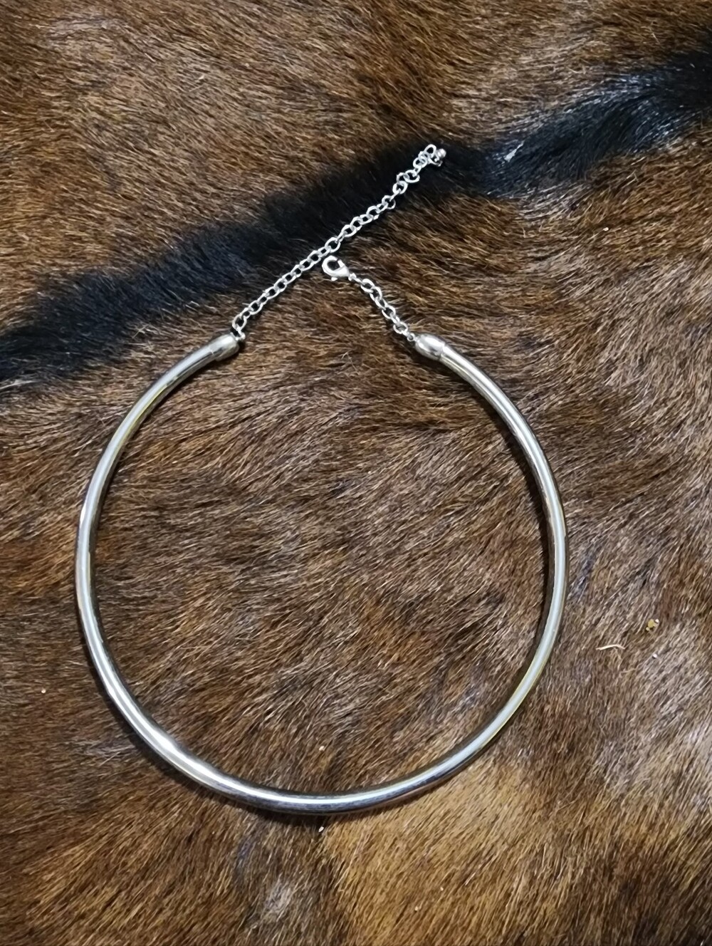 Silver Collar Necklace - Sleek Women’s Choker